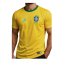 Serviço de organização e 50 CAMISA DO BRASIL UNISEX dryfit AMARElA com personalização da empresa